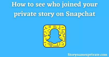 How to see who joined your private story on Snapchat