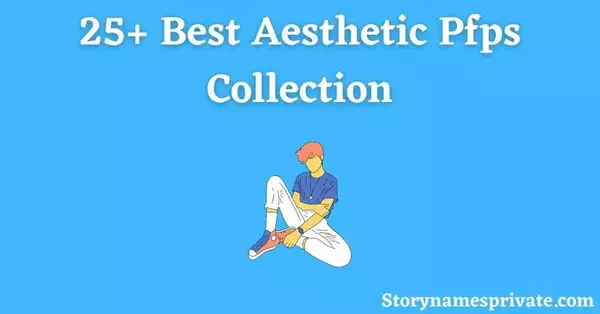 Aesthetic Pfps Collection